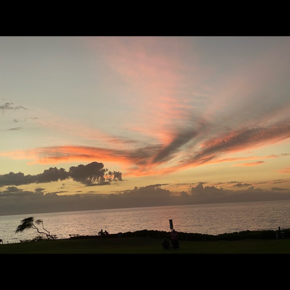 Meet your Posher, Jenissa - Picture 2 of 2